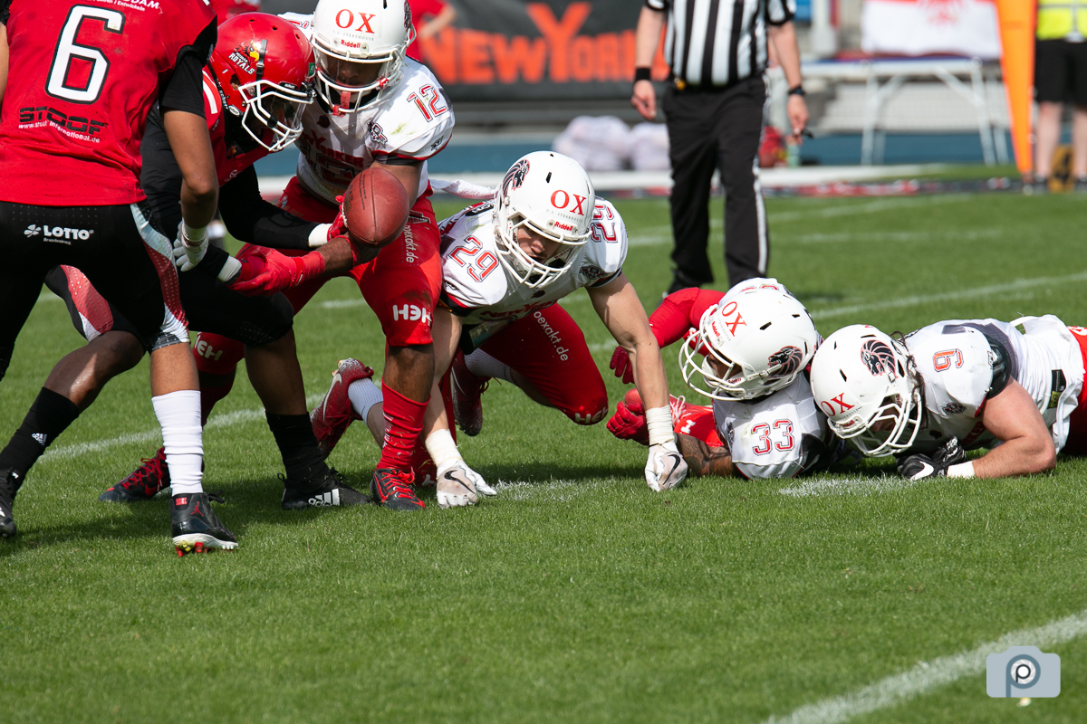 GFL2019_26052019_vs_Potsdam_0098.jpg