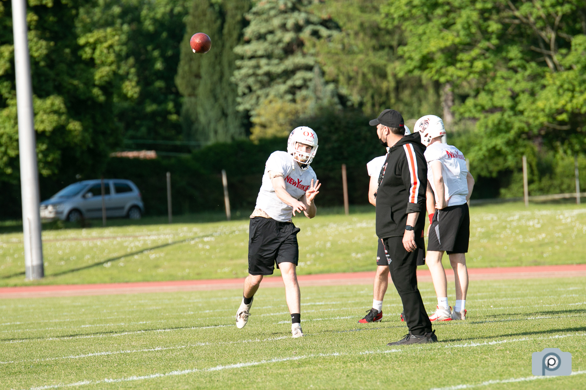 GFL2021_NewYorkerLions_Training02062021_0001.jpg