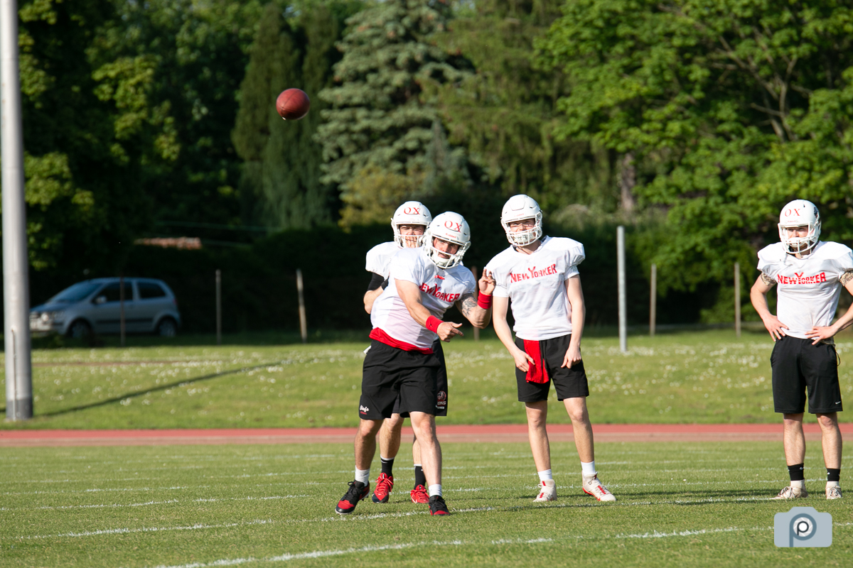 GFL2021_NewYorkerLions_Training02062021_0002.jpg