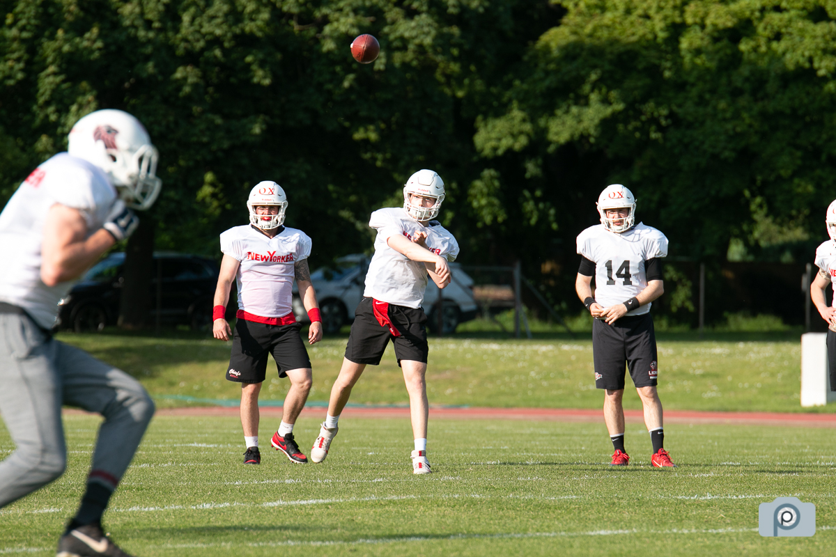 GFL2021_NewYorkerLions_Training02062021_0017.jpg