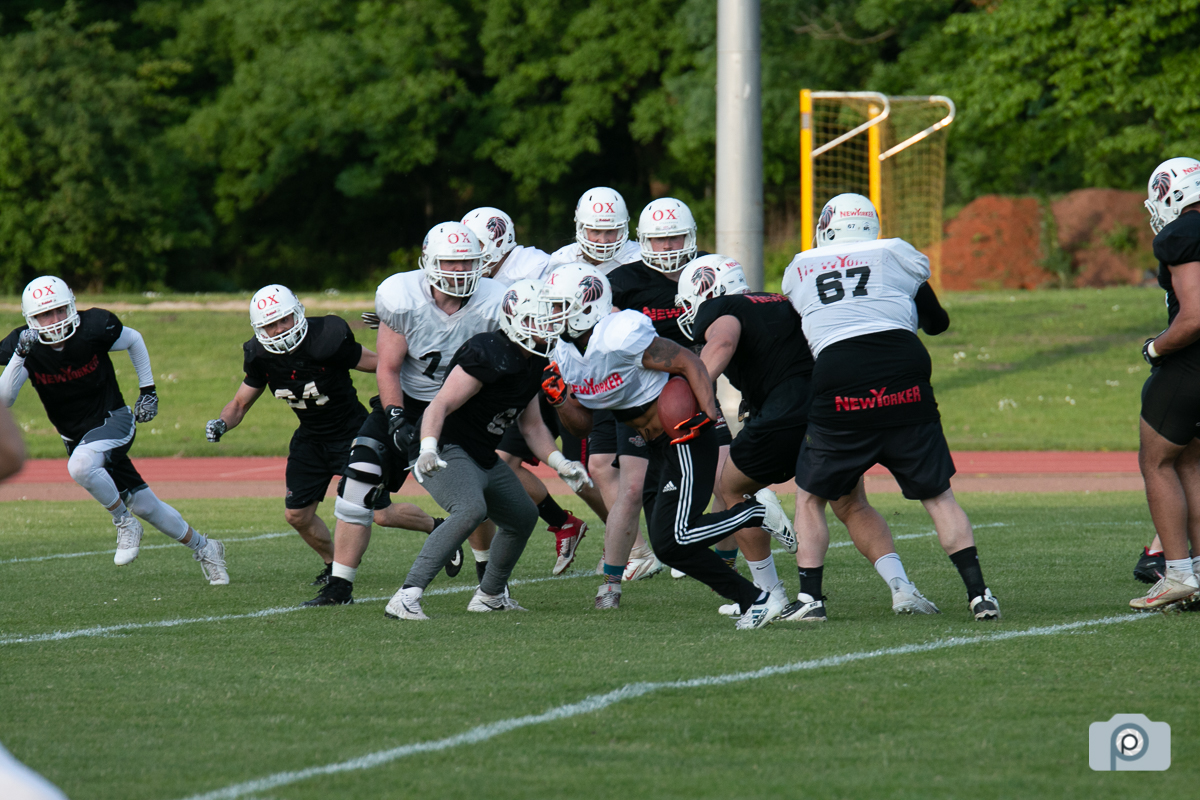 GFL2021_NewYorkerLions_Training02062021_0139.jpg