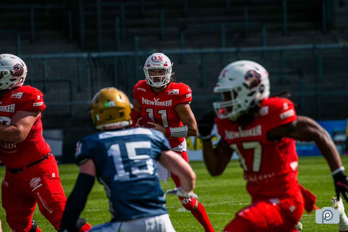 GFL2022_20220821_vs_Dresden_0129.jpg