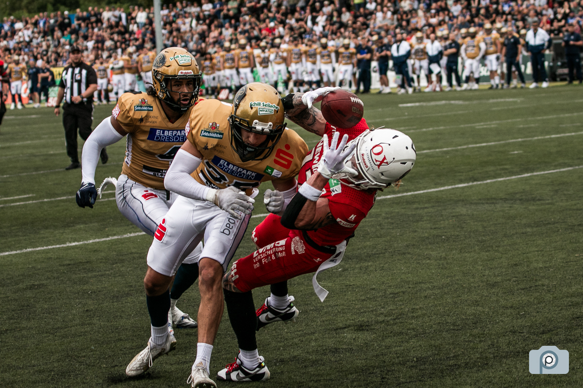 GFL2023_20230805_@_Dresden_0208.jpg