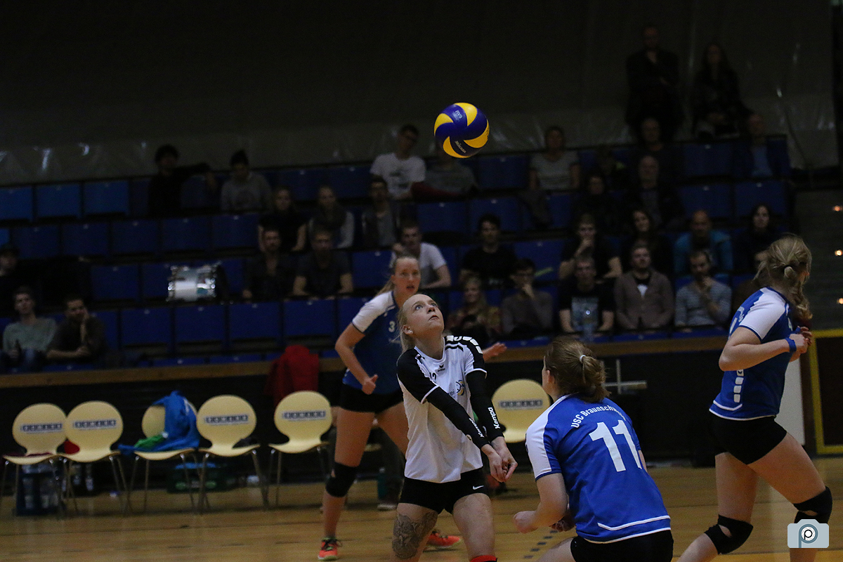 IMG_2992.jpg
